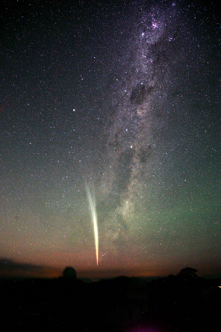 McNaught